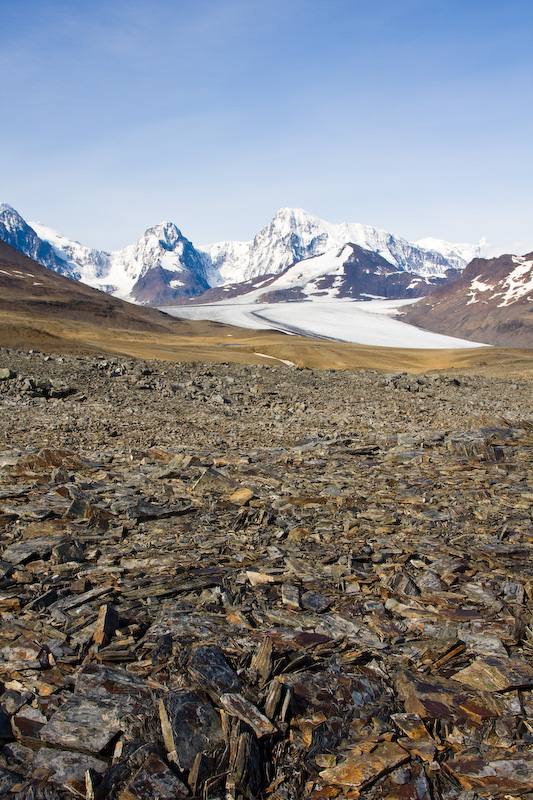 Mountains Above Scree